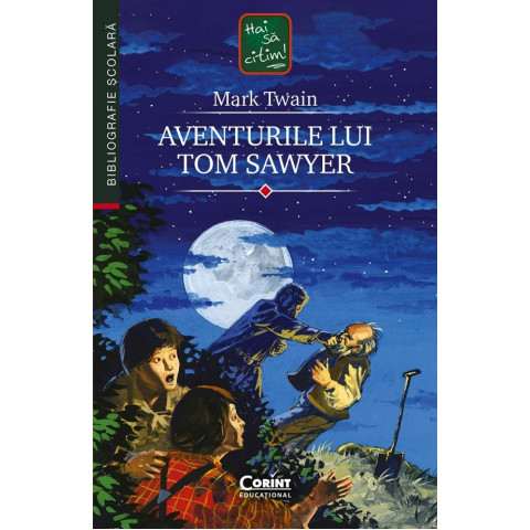 Aventurile lui Tom Sawyer