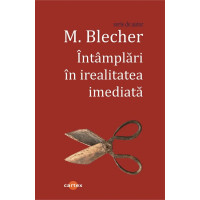 Întâmplări în irealitatea imediată
