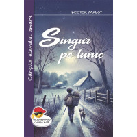 Singur pe lume