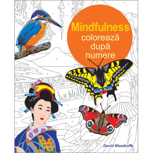 Colorează după numere - Mindfulness