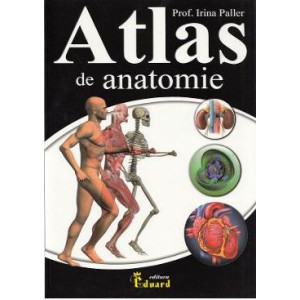 Atlas de anatomie