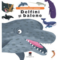 Delfini și balene