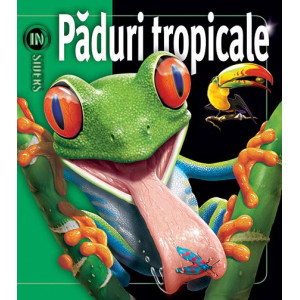 Insiders - Păduri tropicale 