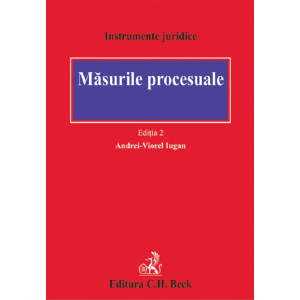Măsurile procesuale Măsurile procesuale