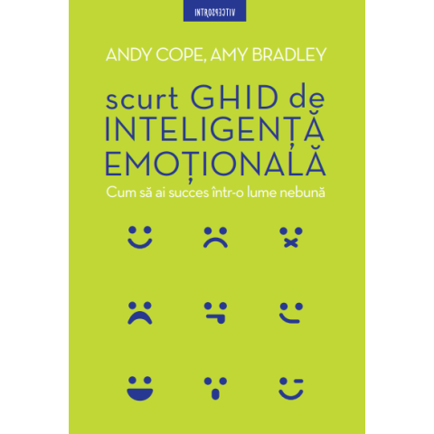 Scurt ghid de inteligență emoțională