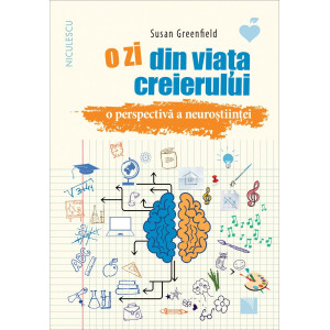 O zi din viața creierului. O perspectivă a neuroștiinței