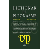 Dicționar de pleonasme