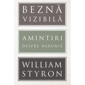 Beznă vizibilă. Amintiri despre nebunie