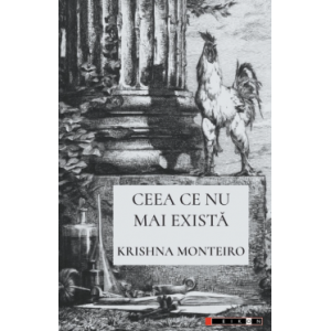 Ceea ce nu mai există