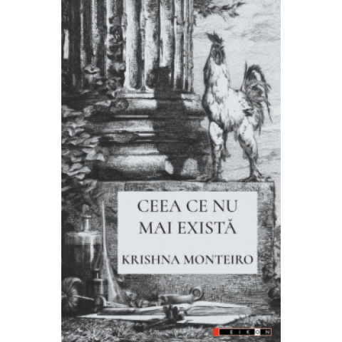 Ceea ce nu mai există