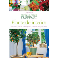 Enciclopedia Truffaut: Plante de interior