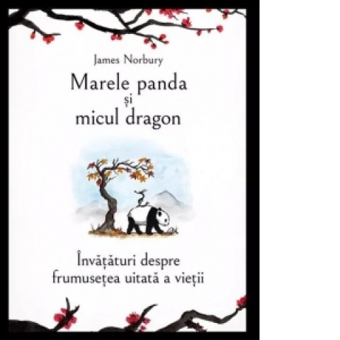 Marele panda și micul dragon