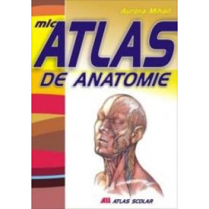 Mic atlas de anatomie