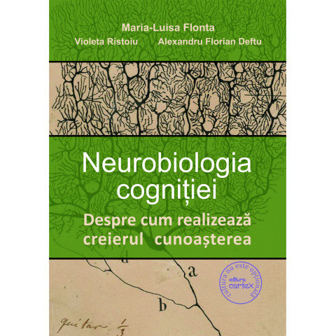 Neurobiologia cogniției