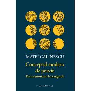 Conceptul modern de poezie