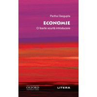 Oxford. Economie. O foarte scurtă introducere