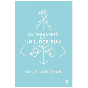 Ce înseamnă să fii un lider bun