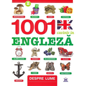 1001 Cuvinte în engleză - Despre lume