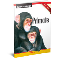 Primate