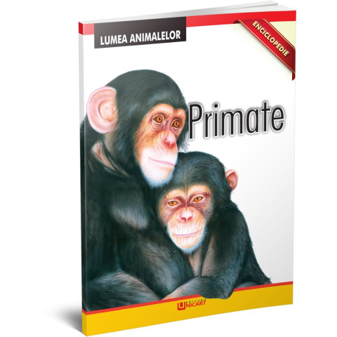 Primate