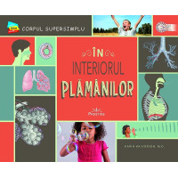 În interiorul plămânilor În interiorul plămânilor