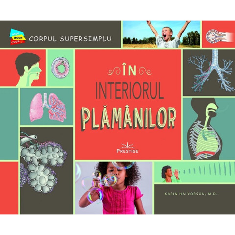 În interiorul plămânilor