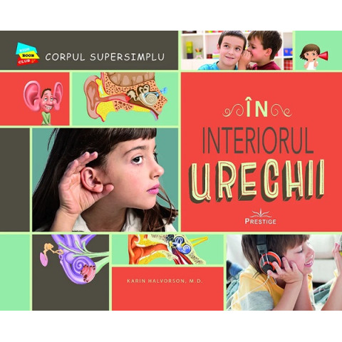 În interiorul urechii