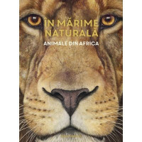 În mărime naturală. Animale din Africa