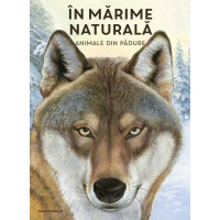 În mărime naturală. Animale din pădure