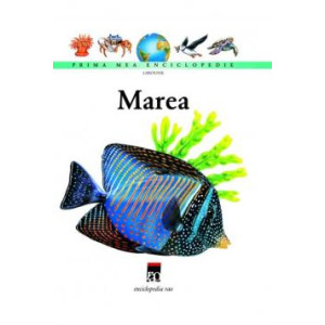 Marea - Larousse