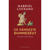 Ce gândește Dumnezeu? Puțină teologie