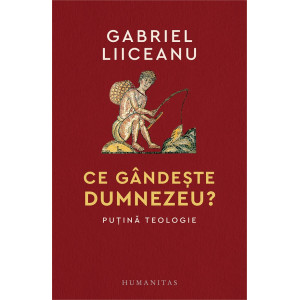 Ce gândește Dumnezeu? Puțină teologie