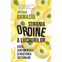 Strania ordine a lucrurilor