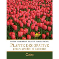 Plante Decorative Pentru Grădini și Balcoane