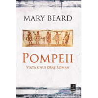 Pompeii. Viața unui oraș roman
