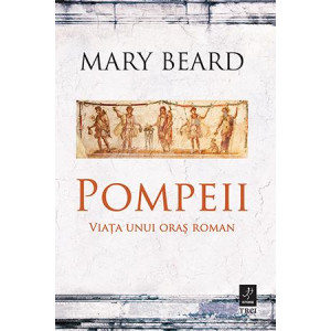 Pompeii. Viața unui oraș roman