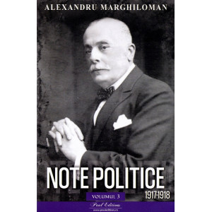 Note politice Vol. 3: 1917-1918