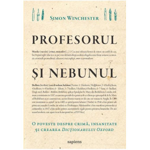 Profesorul și nebunul