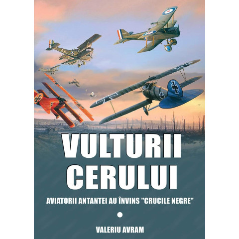 Vulturii cerului