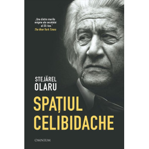 Spațiul Celibidache