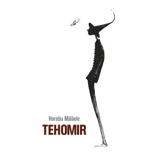 Tehomir