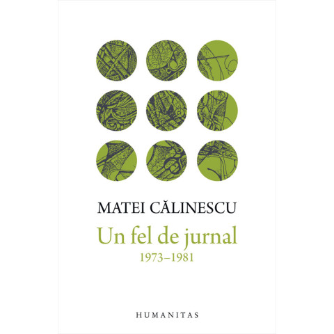 Un fel de jurnal 1973-1981