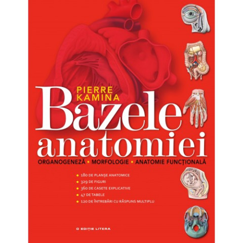 Bazele anatomiei. Organogeneză. Morfologie. Anatomie funcțională