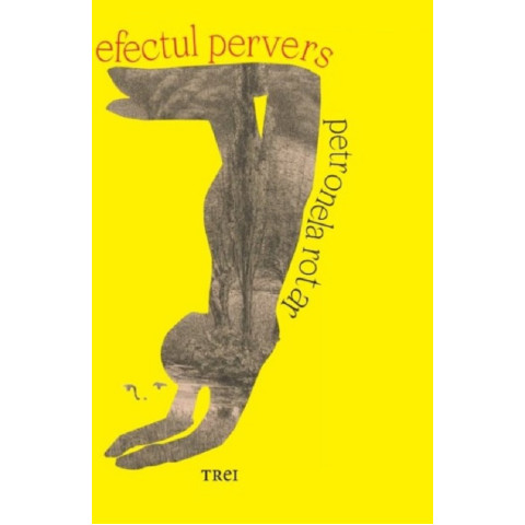 Efectul pervers