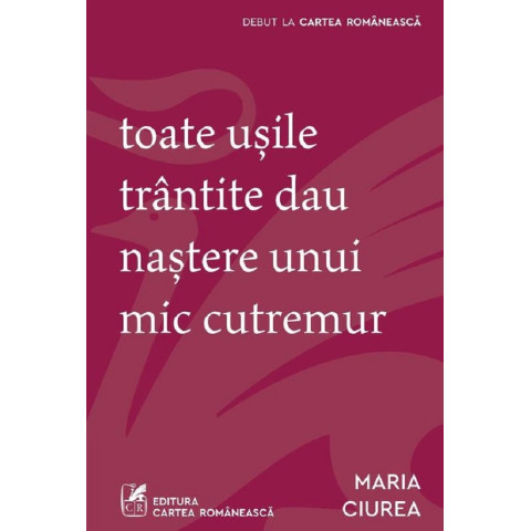 Toate ușile trântite dau naștere unui mic cutremur