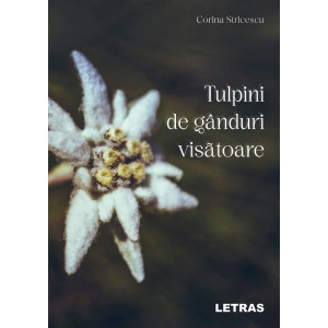 Tulpini de gânduri visătoare