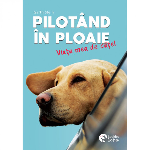 Pilotând în ploaie