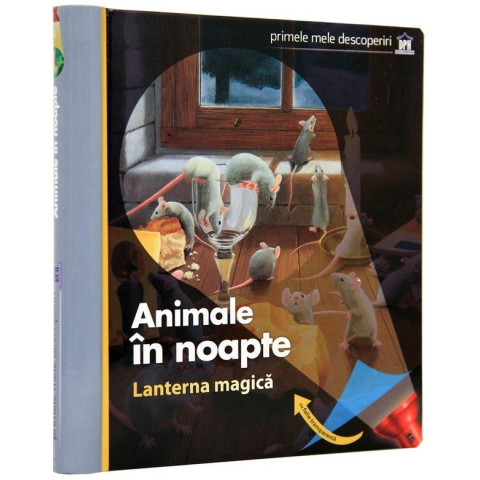 Animale în noapte