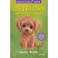 Cățelușa care a fugit de acasă, Holly Webb