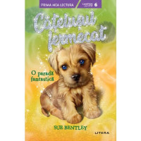 Cațelușul fermecat. O paradă fantastică, Sue Bentley Cațelușul fermecat. O paradă fantastică, Sue Bentley